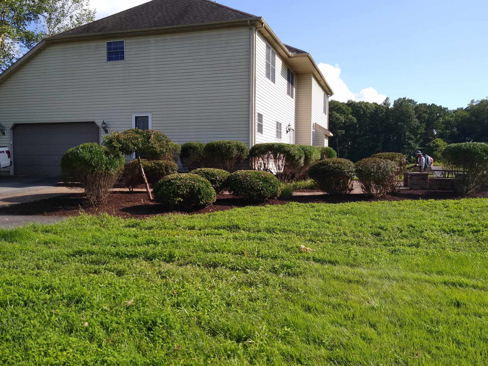 website template image