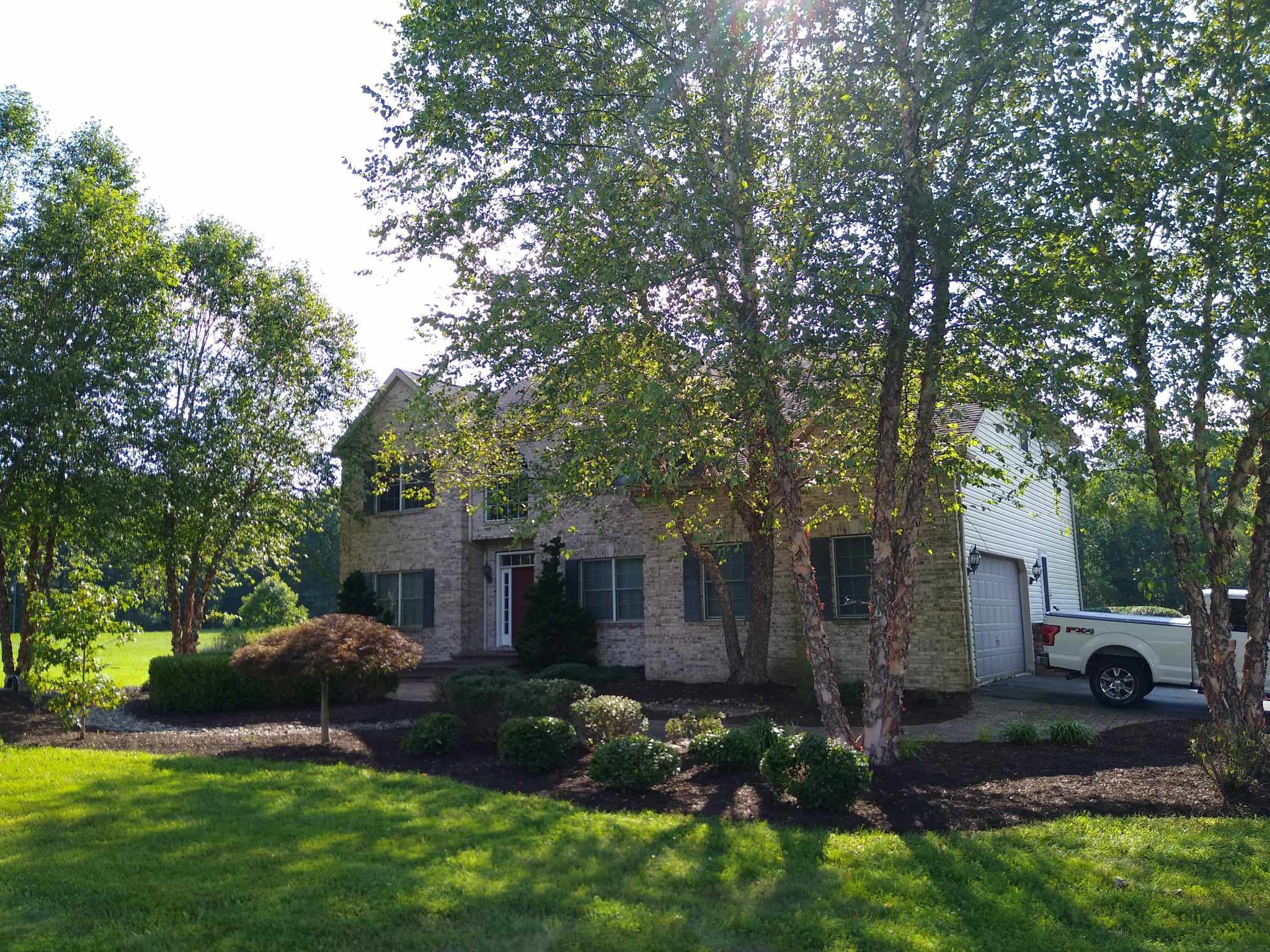 website template image