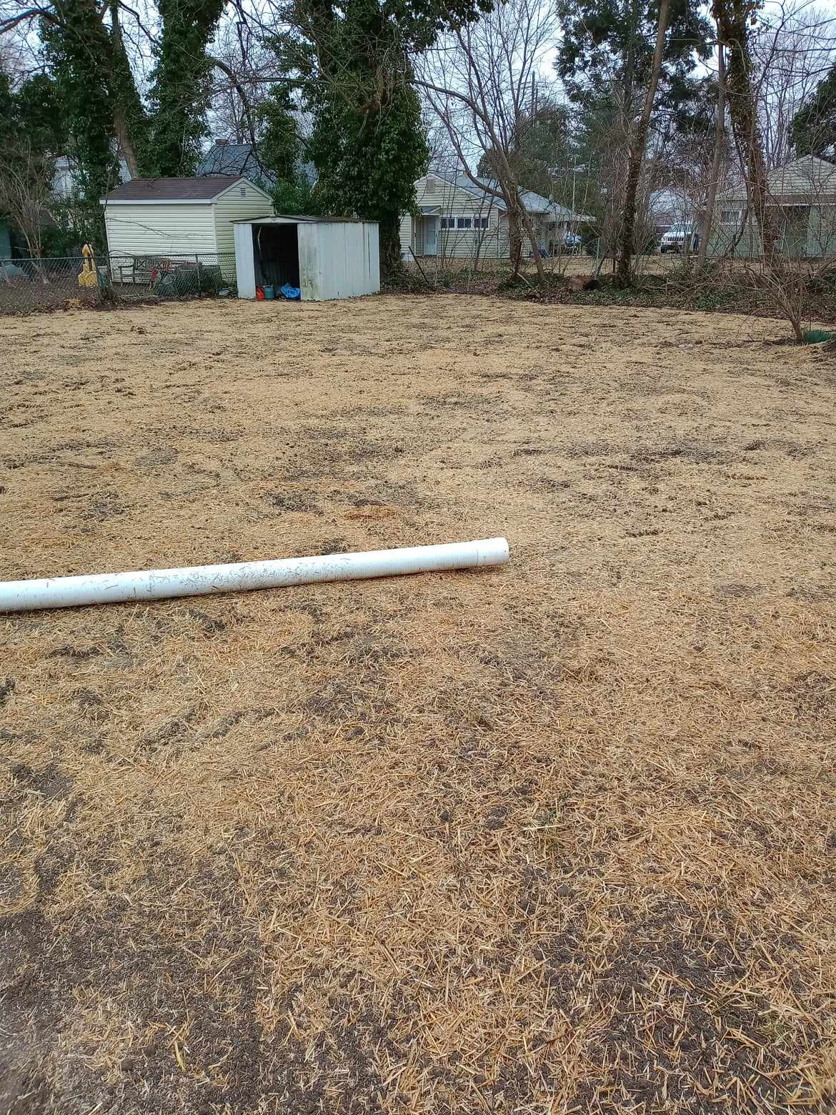 website template image