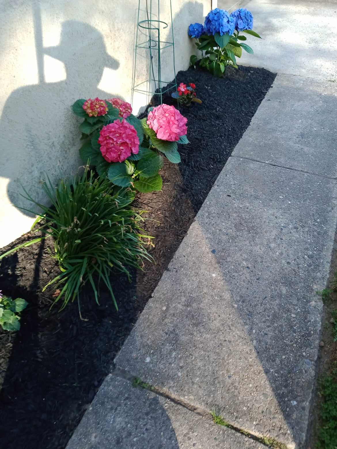 website template image