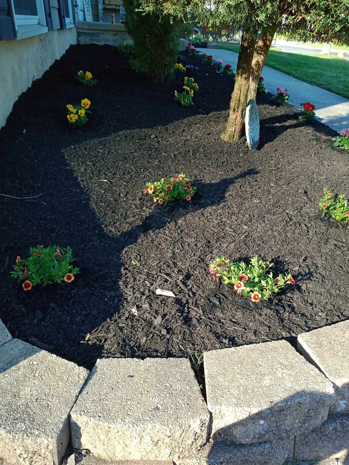 website template image